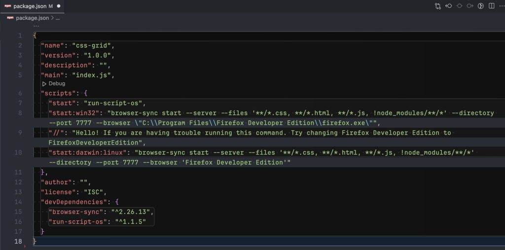 Update Package.json before
