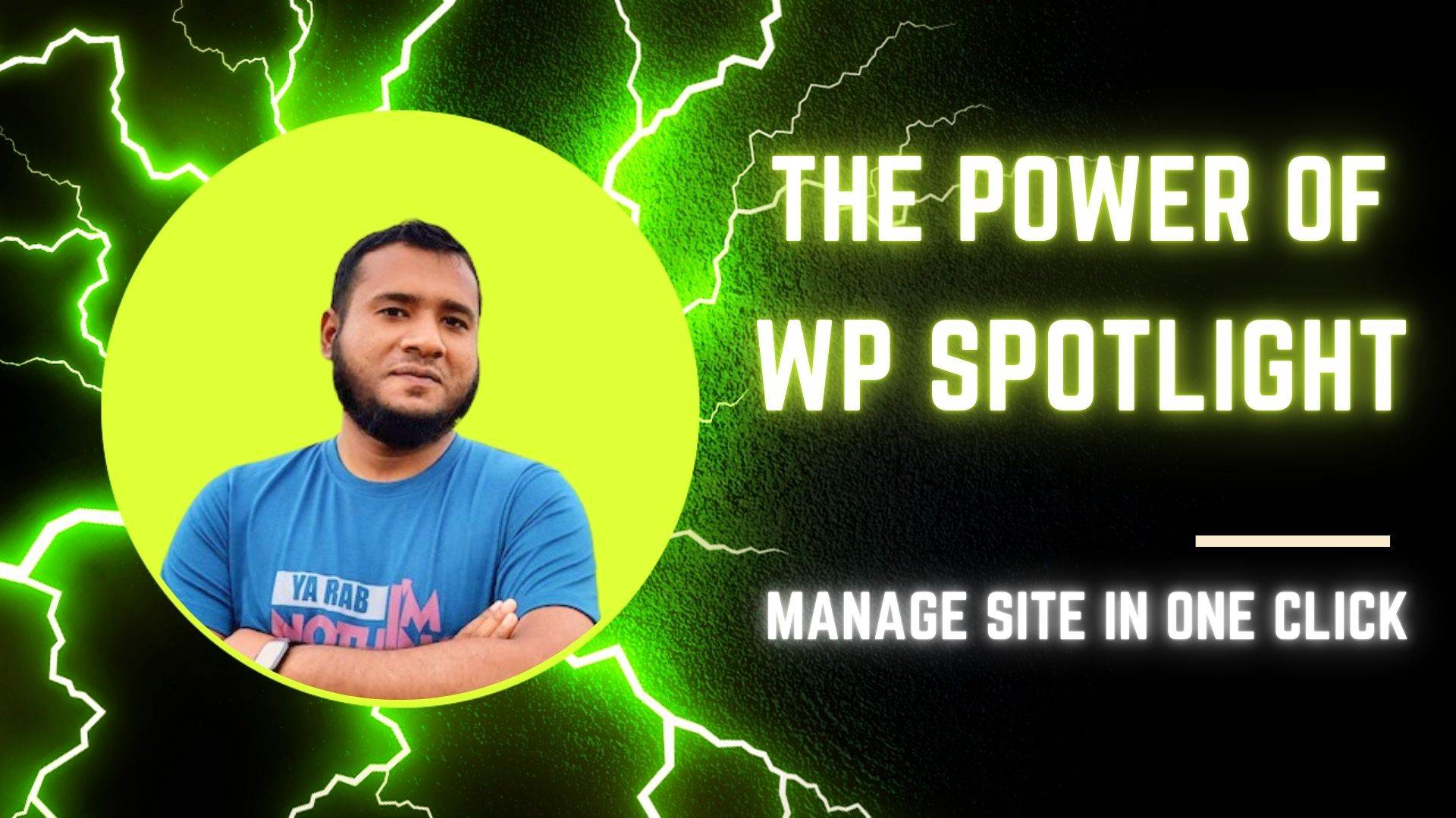 WP Spotlight